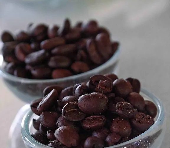 غرين غاردن كوتا